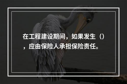 在工程建设期间，如果发生（），应由保险人承担保险责任。