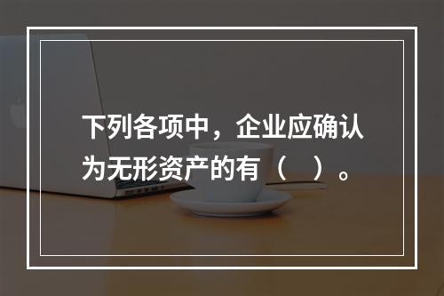 下列各项中，企业应确认为无形资产的有（　）。