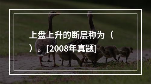 上盘上升的断层称为（　　）。[2008年真题]