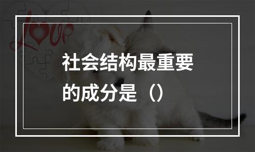 社会结构最重要的成分是（）