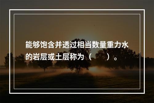 能够饱含并透过相当数量重力水的岩层或土层称为（　　）。