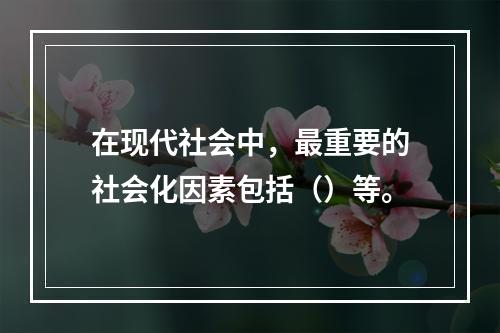 在现代社会中，最重要的社会化因素包括（）等。