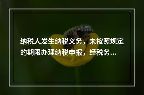 纳税人发生纳税义务，未按照规定的期限办理纳税申报，经税务机关