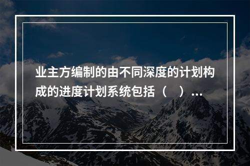 业主方编制的由不同深度的计划构成的进度计划系统包括（　）。