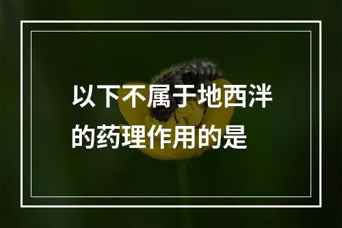 以下不属于地西泮的药理作用的是