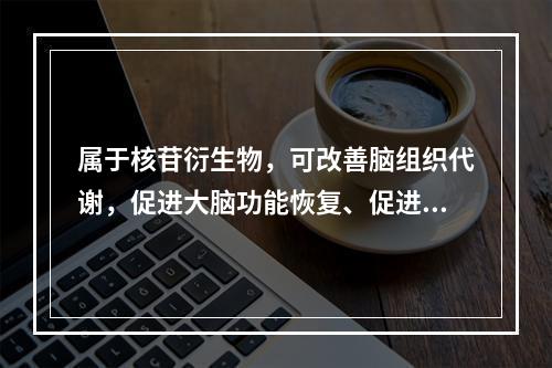 属于核苷衍生物，可改善脑组织代谢，促进大脑功能恢复、促进苏醒