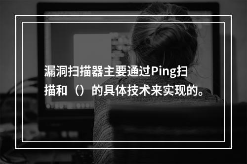 漏洞扫描器主要通过Ping扫描和（）的具体技术来实现的。