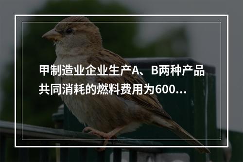 甲制造业企业生产A、B两种产品共同消耗的燃料费用为6000元