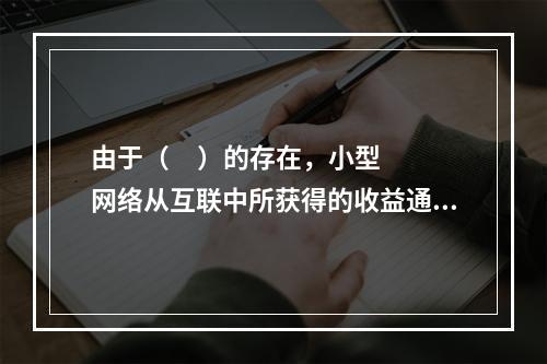 由于（     ）的存在，小型网络从互联中所获得的收益通常比