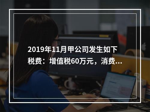 2019年11月甲公司发生如下税费：增值税60万元，消费税8