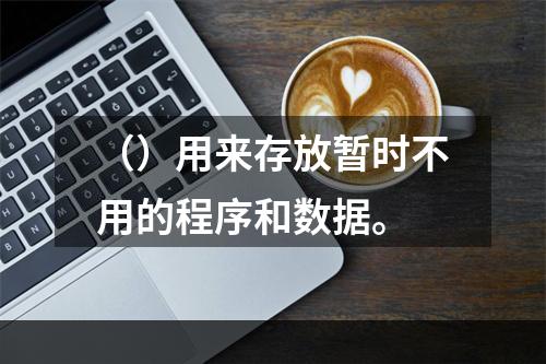 （）用来存放暂时不用的程序和数据。