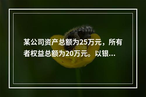 某公司资产总额为25万元，所有者权益总额为20万元。以银行存