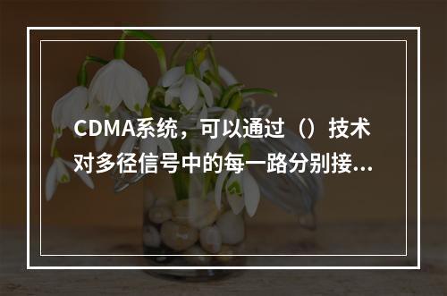 CDMA系统，可以通过（）技术对多径信号中的每一路分别接收、