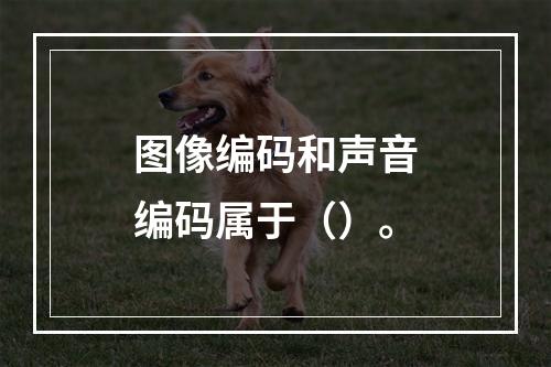 图像编码和声音编码属于（）。