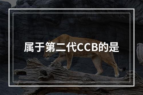 属于第二代CCB的是