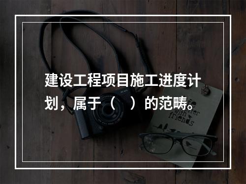 建设工程项目施工进度计划，属于（　）的范畴。