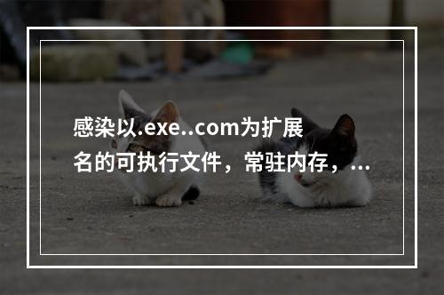 感染以.exe..com为扩展名的可执行文件，常驻内存，感染