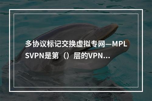 多协议标记交换虚拟专网—MPLSVPN是第（）层的VPN技术