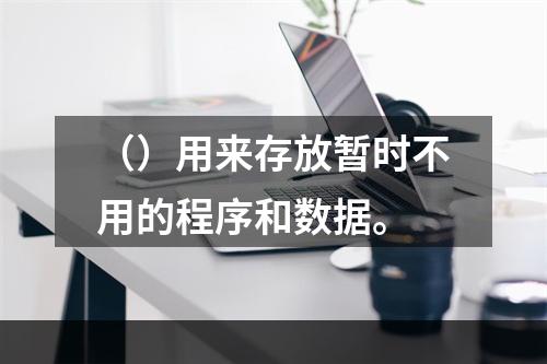 （）用来存放暂时不用的程序和数据。