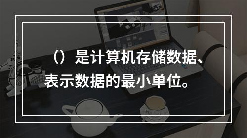 （）是计算机存储数据、表示数据的最小单位。