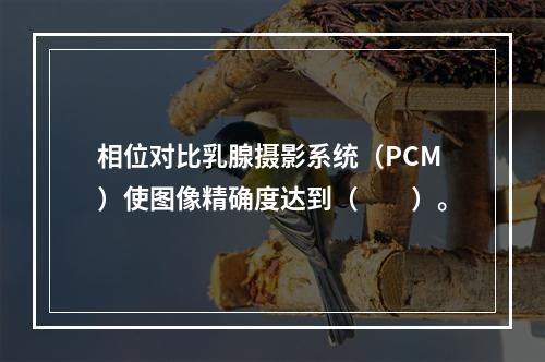 相位对比乳腺摄影系统（PCM）使图像精确度达到（　　）。