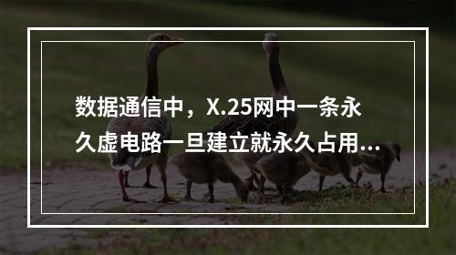 数据通信中，X.25网中一条永久虚电路一旦建立就永久占用一个