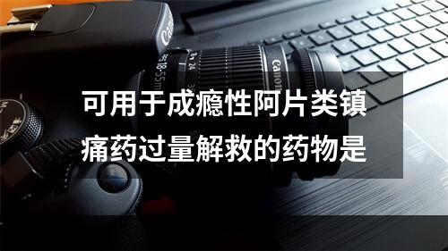 可用于成瘾性阿片类镇痛药过量解救的药物是