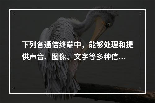 下列各通信终端中，能够处理和提供声音、图像、文字等多种信息的