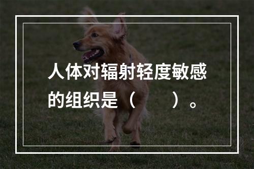 人体对辐射轻度敏感的组织是（　　）。