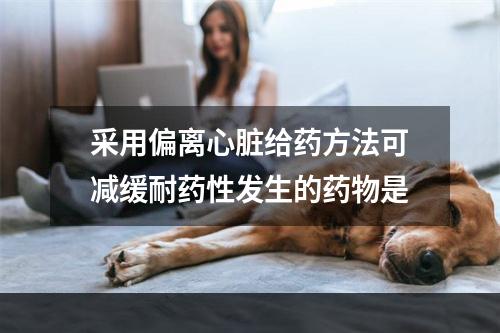 采用偏离心脏给药方法可减缓耐药性发生的药物是