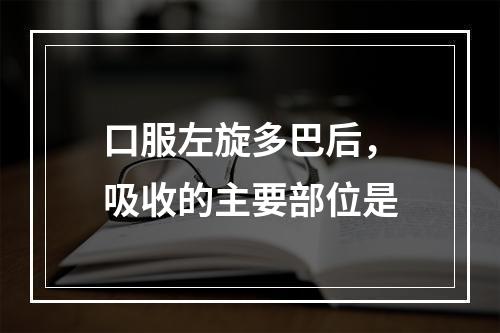 口服左旋多巴后，吸收的主要部位是