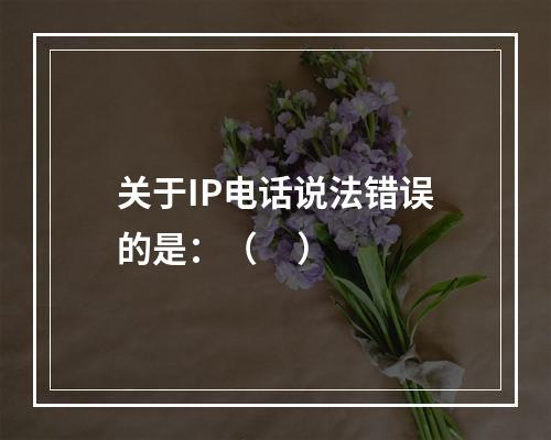 关于IP电话说法错误的是：（     ）