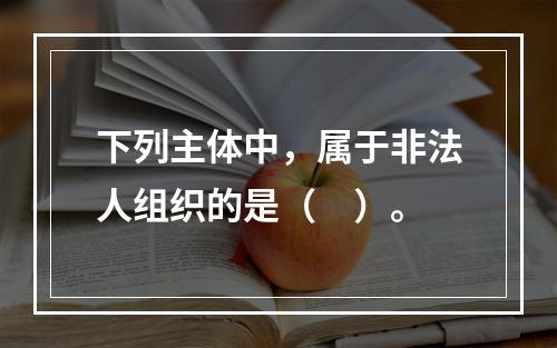 下列主体中，属于非法人组织的是（　）。