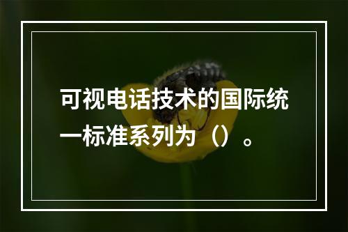 可视电话技术的国际统一标准系列为（）。