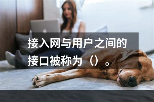 接入网与用户之间的接口被称为（）。