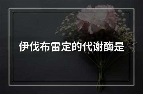 伊伐布雷定的代谢酶是