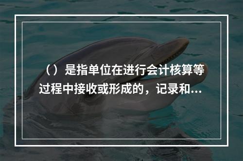 （ ）是指单位在进行会计核算等过程中接收或形成的，记录和反映