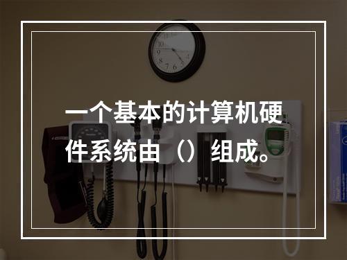 一个基本的计算机硬件系统由（）组成。