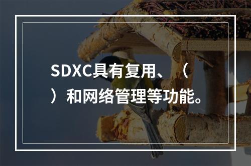 SDXC具有复用、（）和网络管理等功能。