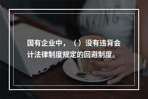 国有企业中，（ ）没有违背会计法律制度规定的回避制度。