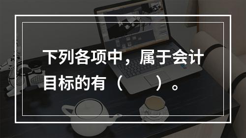 下列各项中，属于会计目标的有（　　）。