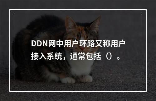 DDN网中用户环路又称用户接入系统，通常包括（）。