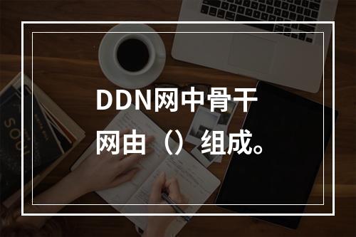 DDN网中骨干网由（）组成。