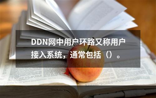 DDN网中用户环路又称用户接入系统，通常包括（）。