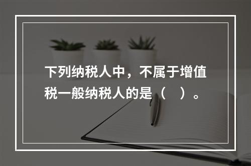 下列纳税人中，不属于增值税一般纳税人的是（　）。