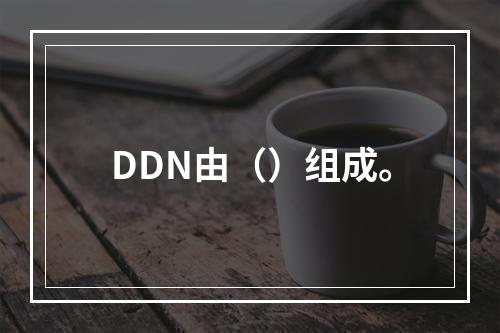 DDN由（）组成。