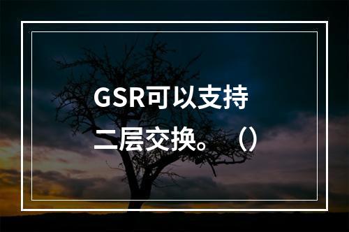 GSR可以支持二层交换。（）