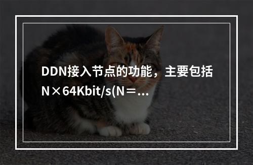 DDN接入节点的功能，主要包括N×64Kbit/s(N＝1～