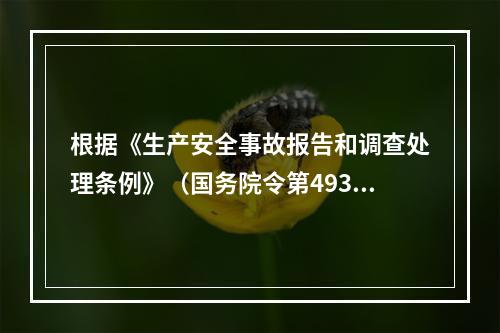 根据《生产安全事故报告和调查处理条例》（国务院令第493号）