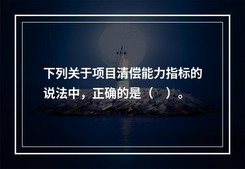 下列关于项目清偿能力指标的说法中，正确的是（　）。